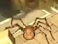 Spider Simulator: Amazing City — free online game