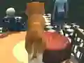 Dog Simulator: Puppy Craft — free online game