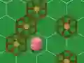 Catch The Pig — free online game