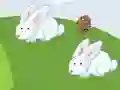 Crazy Eggs — free online game