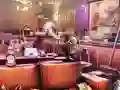 Bar Makeover — free online game