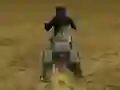 Real Moto Stunts Challenge — free online game