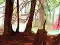 Hidden Stars — free online game