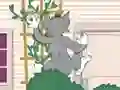 Tom und Jerry: Wasserbomben Wahnsinn — free online game