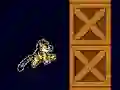 Kitty Rush — free online game