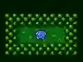 Capture — free online game
