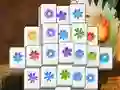 Spring Flower — free online game