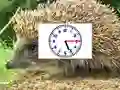 Spil Puzzle Pics Clocks online