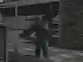 Laro Roof Shootout online