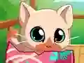 My Pocket Pets Kitty Cat — free online game
