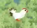 Chicken run — free online game