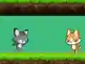 Cat vs Dog