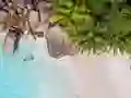 Seychelles Beach Jigsaw Puzzle — free online game