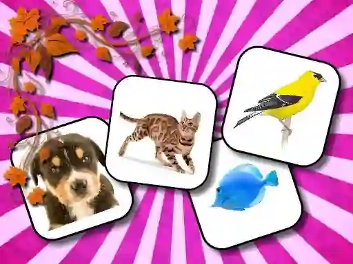 Trò chơi Animals Memory trực tuyến