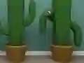Cactus Cube — free online game
