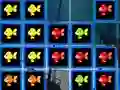 1010 Fish Blocks — free online game
