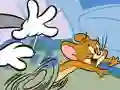 Tom and Jerry mauseflitzer — free online game