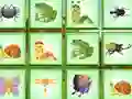 Find The Insect — free online game