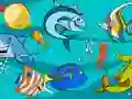 Fish Differences — free online game