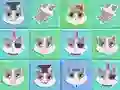 Cat Story 2048 — free online game
