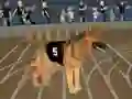 Crazy Dog Racing Fever — free online game