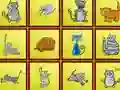 Cats Findiff — free online game