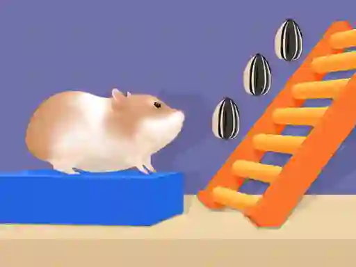 Hamster Stack Maze — free online game