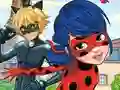 LadyBug Differences