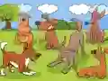 Animals Differences — free online game