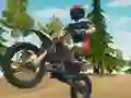 Dirt Bike Enduro Racing — free online game