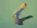 Merge Guns 3D — free online game