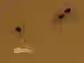Save the crumb — free online game