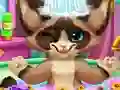 Kitten Bath — free online game