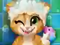 Rusty Kitten Bath — free online game