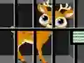 Animals Rescue — free online game