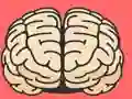 Brain Test — free online game
