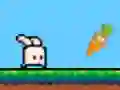 Bouncing Bunny — free online game