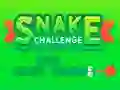 Snake Challenge — free online game