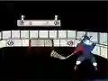 Capitaine Cage Hockey — free online game