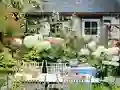 Flower Garden — free online game