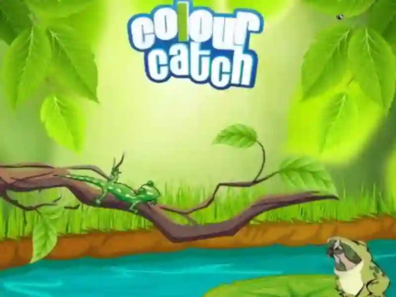 Colour Catch — free online game