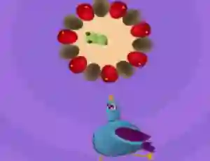 Pigeon Game — free online game
