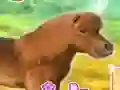My Dear Pony — free online game