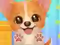 Adopt Your Pet Puppy — free online game
