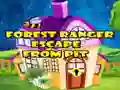Forest Ranger Escape From Pit — free online game