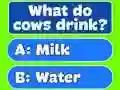 Trivia Best Family Quiz — free online game