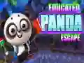 Educated Panda Escape — free online game