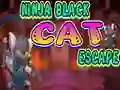 Ninja Black Cat Escape — free online game