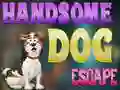Handsome Dog Escape — free online game