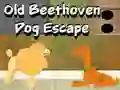 Old Beethoven Dog Escape — free online game